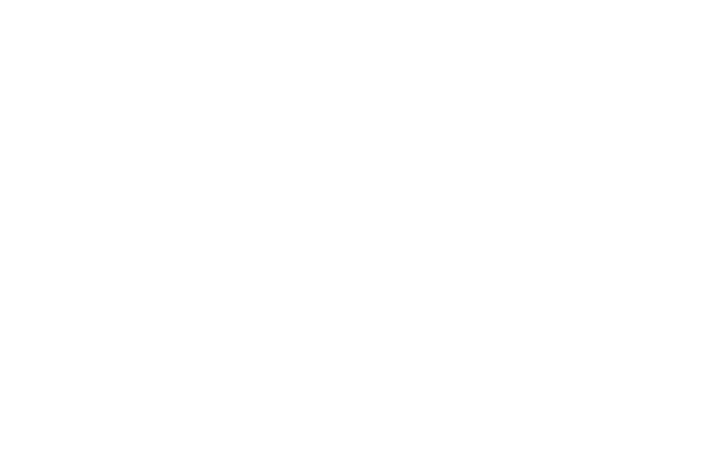 Logo Digitalizzi